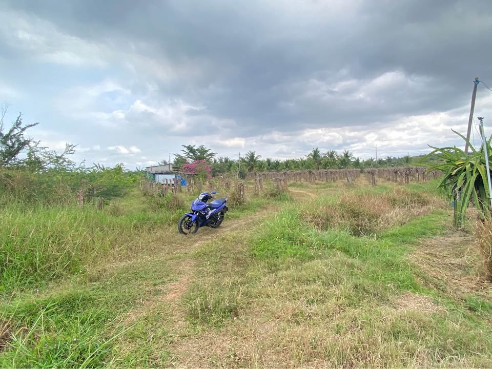 Bán Đất Vườn Phú Long 360m² Sổ Hồng Riêng - Giá 690 Triệu