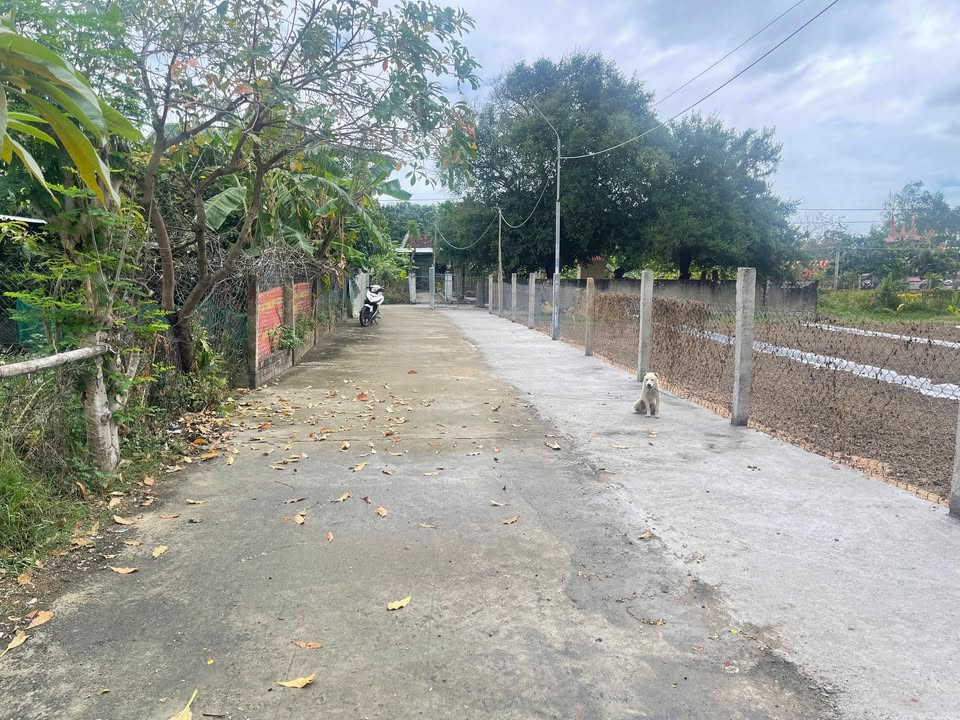 Đất nền TP Tuy Hoà 133m² - Sổ đỏ chính chủ, tiềm năng tăng giá!