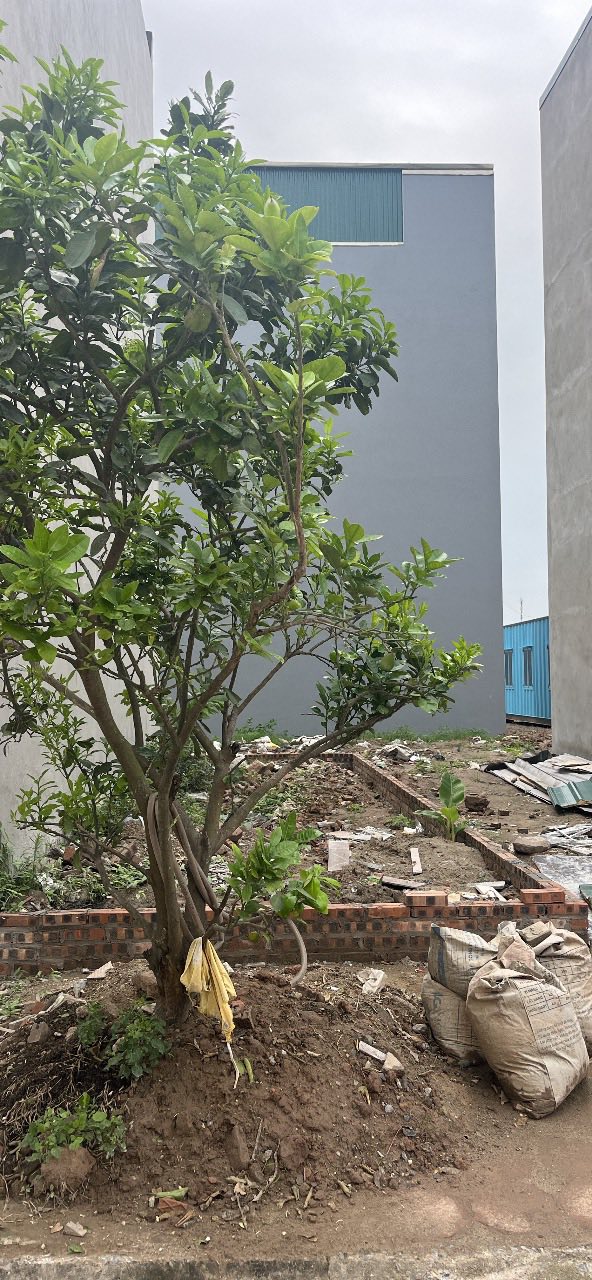 Đất Nền Ngọc Hồi 30m² giá 7.7 tỷ - Sổ đỏ chính chủ!