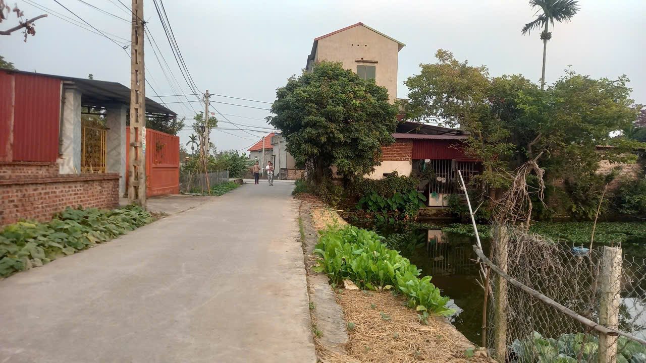 Bán Đất Lương Tài, Bắc Ninh - 80m² Sổ Đỏ Chính Chủ, Gần KĐT