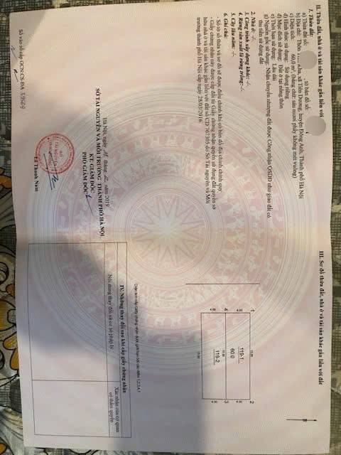 Bán Đất Tiên Dương 60m² - Sổ Đỏ Sẵn Sàng - Giá Tốt Đông Anh