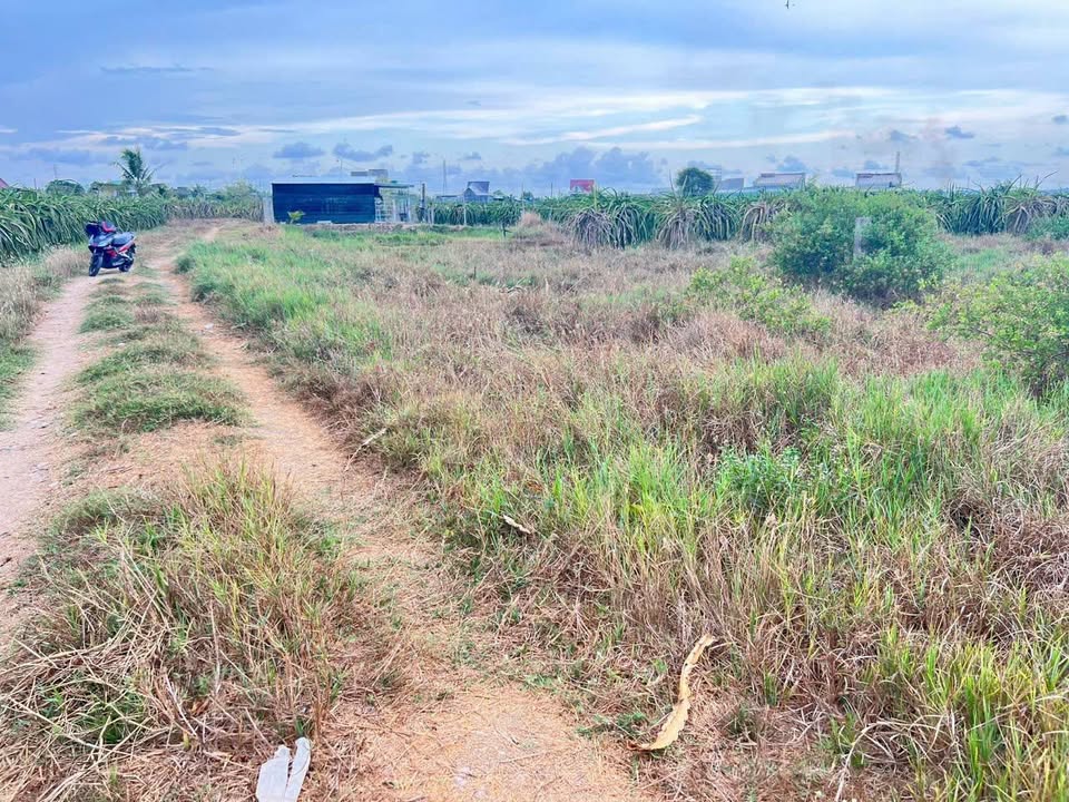 Bán đất cây trồng 1.226m² Hàm Thuận Bắc - Sổ đỏ chính chủ