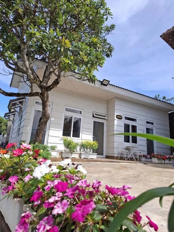 Cho thuê Villa Phường 9 Đà Lạt - 10PN sức chứa 30 khách - Giá 35 triệu/tháng