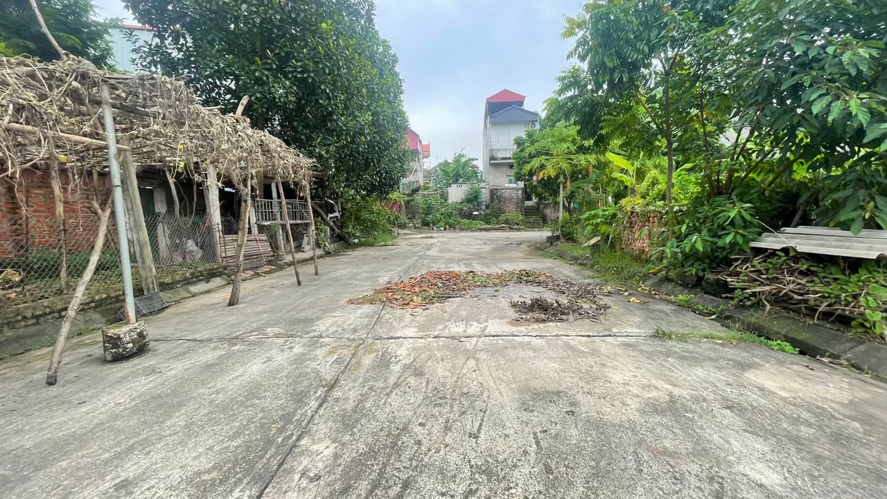 Đất nền lô góc Đồng Mận, Tam Dương 120m² - Tiềm năng tăng giá vượt trội!