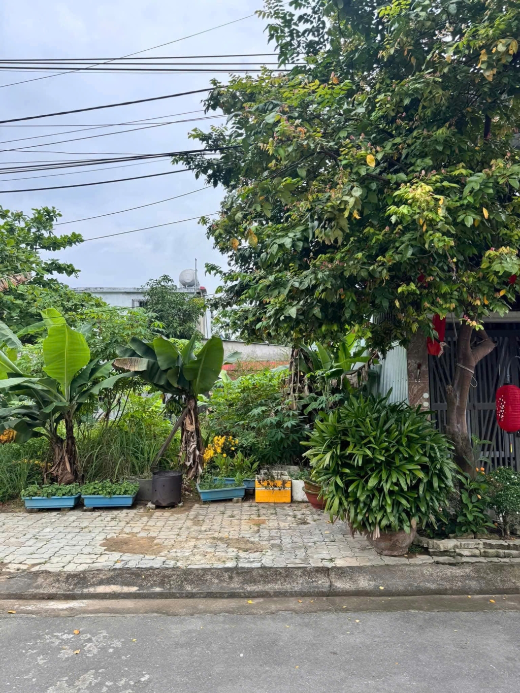 Đất nền Hòa Xuân Đà Nẵng 80m² - Tiềm năng tăng giá vượt trội!