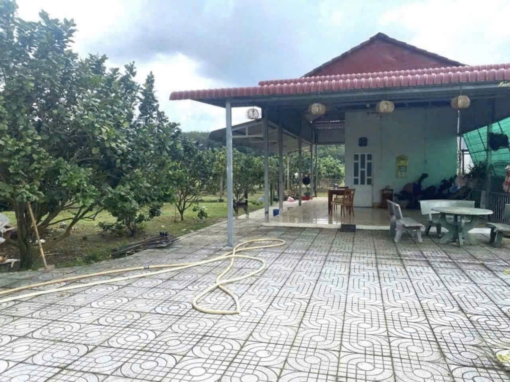 Bán Gấp Vườn Cây Ăn Trái 2500m² Bình Dương - Sổ Hồng Riêng, Giá 550 Triệu
