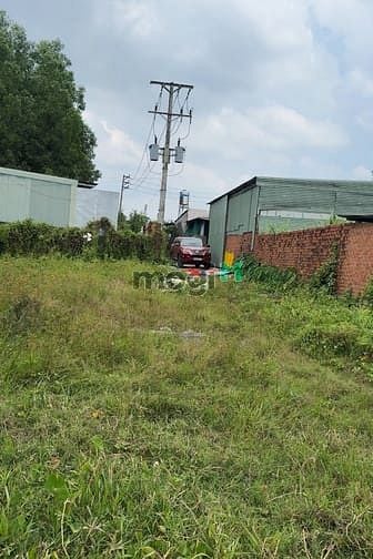 Đất Vườn Long Thành 1786m² - 3 Mặt Tiền, Sổ Hồng, Giá Đầu Tư 8 Tỷ