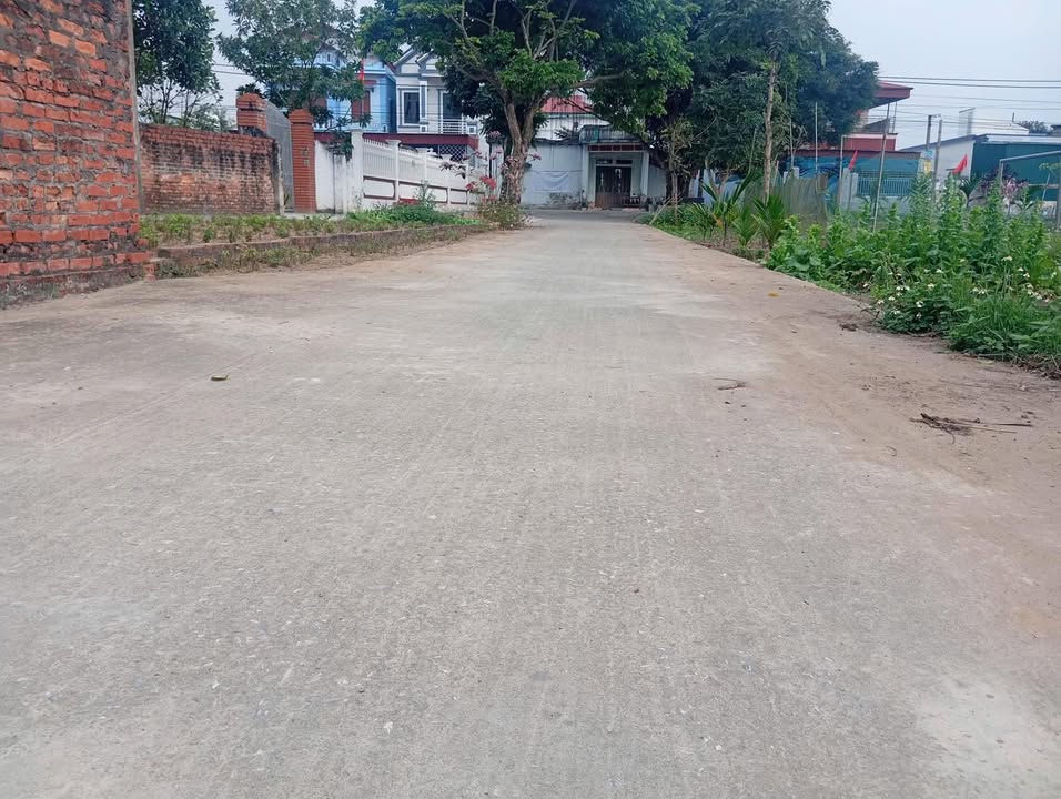 Đất Nền Thái Thụy 150m² - Tách 2 Sổ, Ô Tô Tránh Nhau