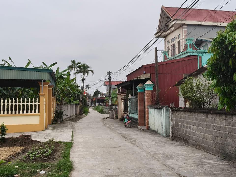 Đất Vĩnh Hòa, Ninh Giang (Hải Dương) 120m² - Sổ đỏ chính chủ, ô tô đỗ cửa