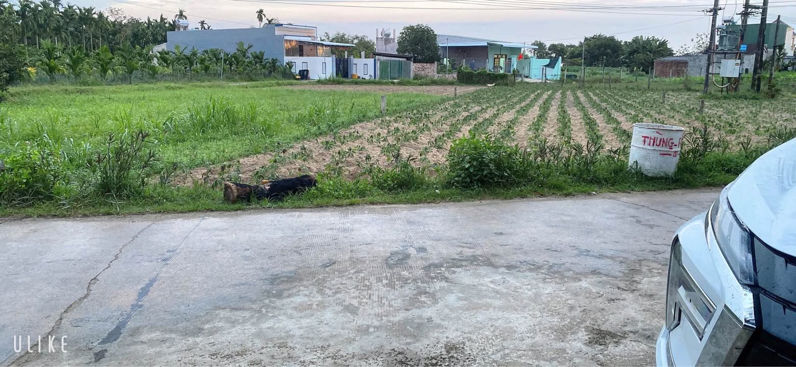 Đất nền Tịnh Ấn Tây 559m² - Sổ đỏ chính chủ, xây dựng tự do.