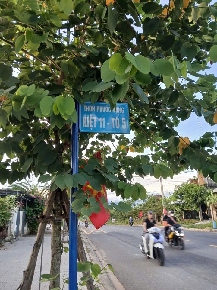 Đất Nền Hòa Nhơn, Đà Nẵng - 120m² - Giá Đầu Tư 1.55 Tỷ