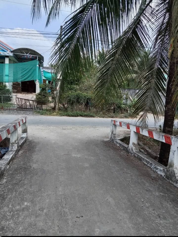 Đất ruộng Tân Xuân 2.552m² 450 triệu - Hạ tầng hoàn thiện