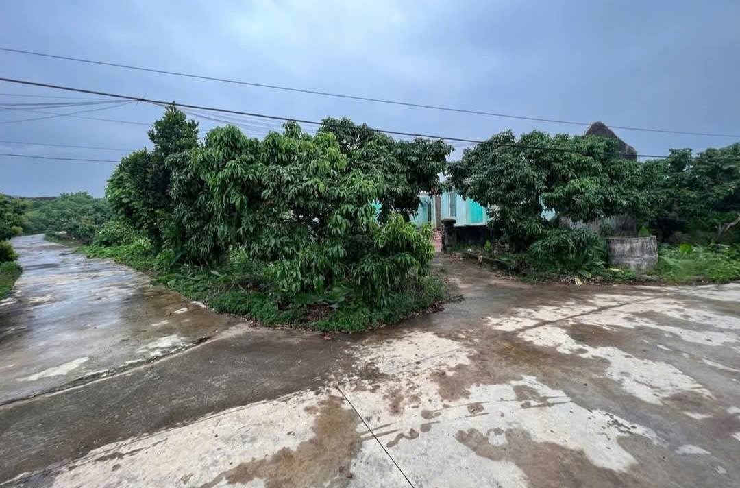 Đất nền Lục Nam 322m² chỉ 400 triệu - Ô tô tận đất, tiềm năng sinh lời!