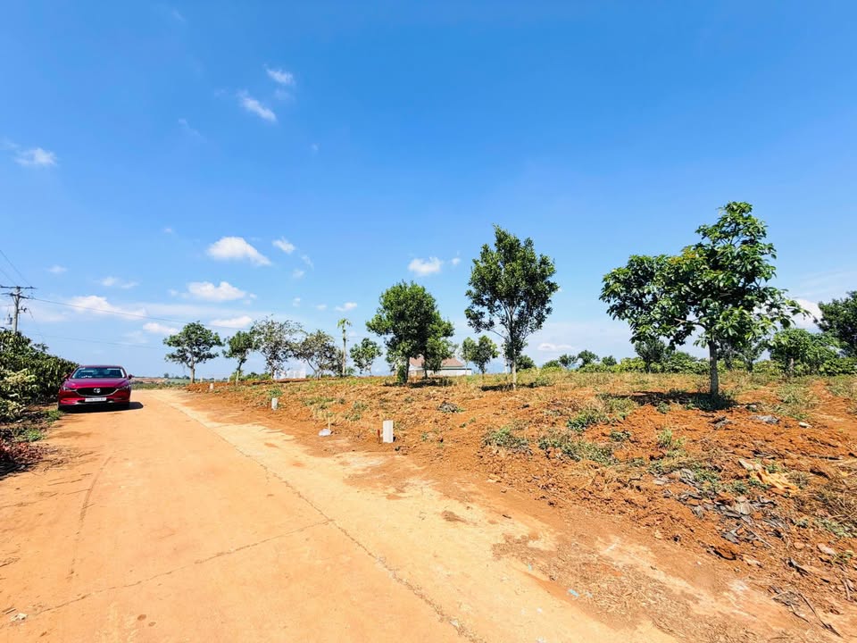 Đất Nền Đinh Văn Lâm Hà 358m² Sổ Đỏ Chính Chủ