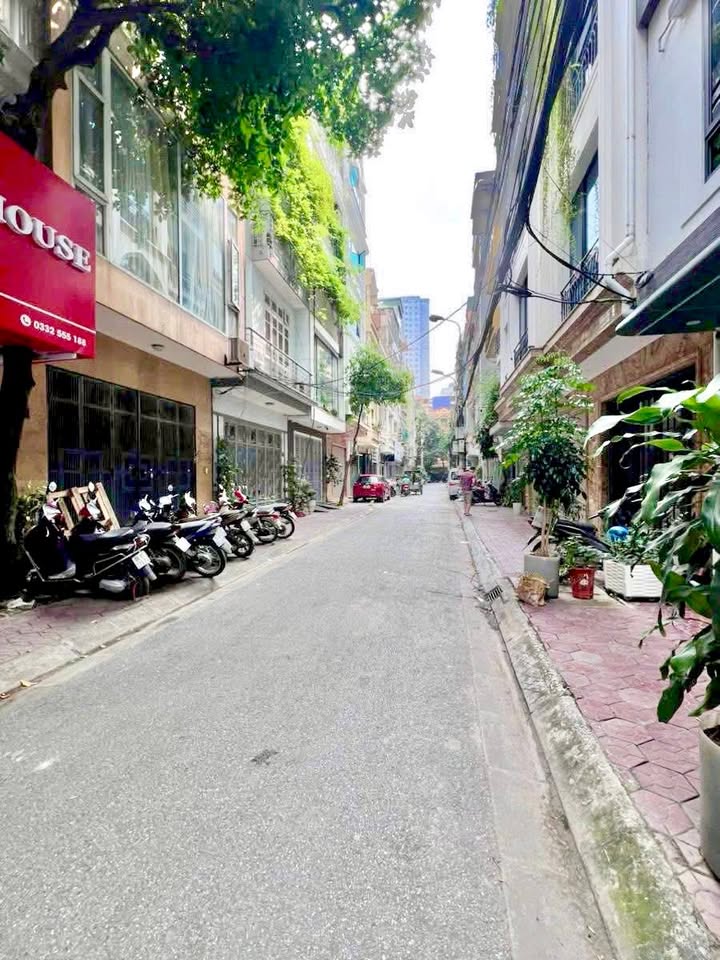 Nhà Phân Lô Mạc Thái Tổ 40m² - 6 Tầng Kinh Doanh - Ô Tô Tránh