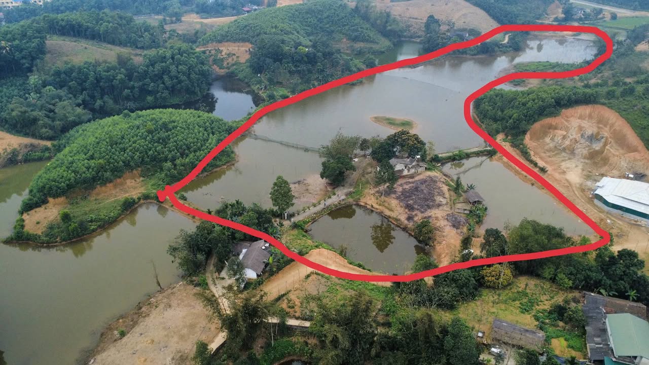 Farm Nghỉ Dưỡng 40.000m² View Hồ Xuân Áng, Phú Thọ - Sẵn Sàng Đầu Tư