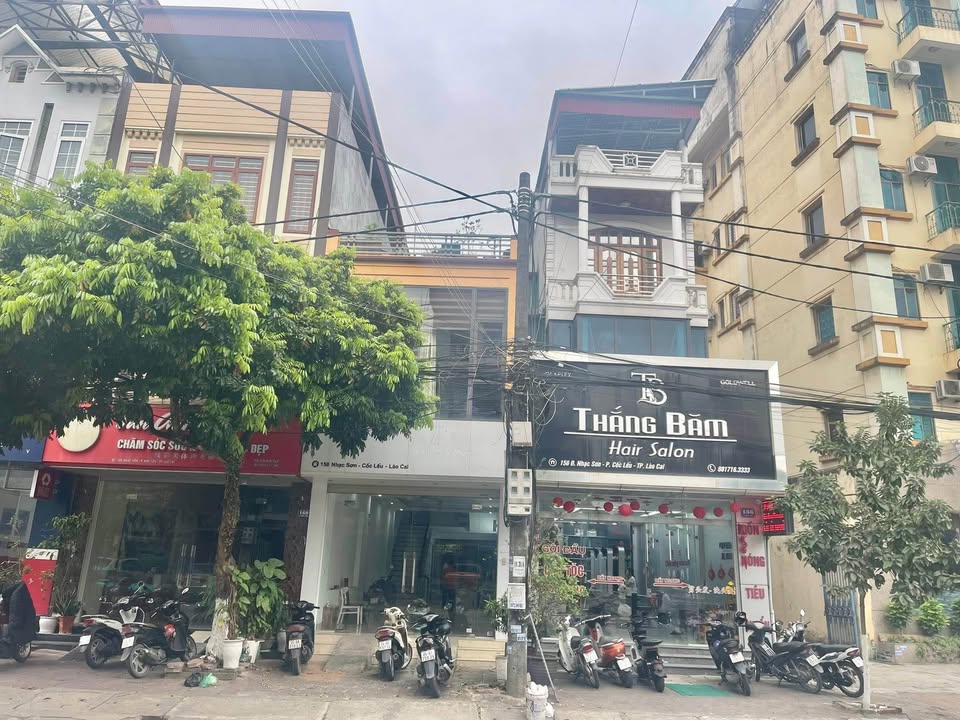 Nhà Mặt Tiền Kinh Doanh Cốc Lếu 88m² - Sổ Đỏ, Hướng Đông Nam