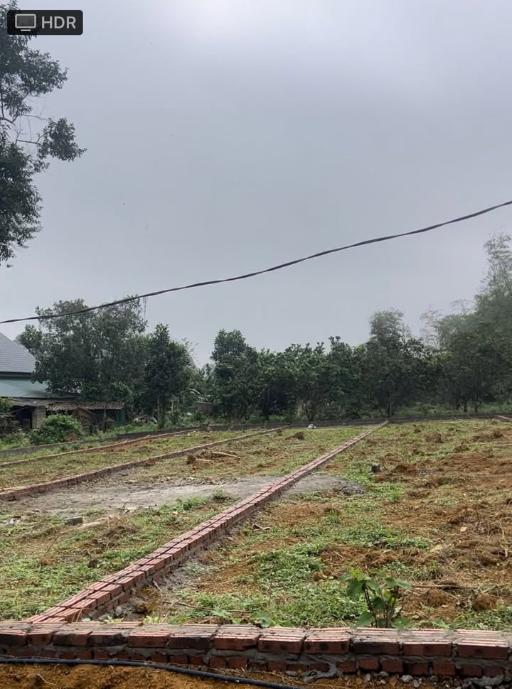 Đất Thị trấn Gôi 150m² 300 triệu - Sổ đỏ chính chủ