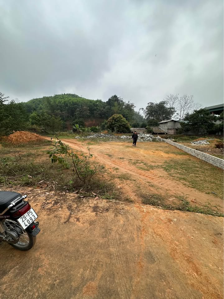 Đất nền Tuyên Quang 240m² - Sổ đỏ chính chủ, ô tô vào tận đất!