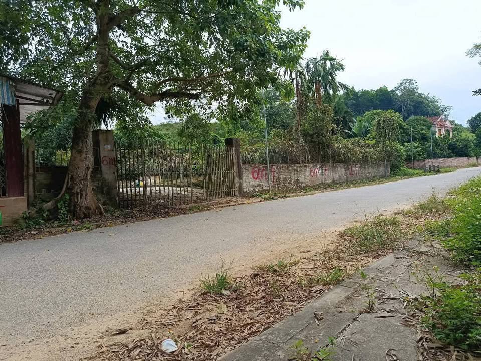 Đất Nền Tứ Quận, Yên Sơn 1 tỷ/lô - Sổ Đỏ Chính Chủ