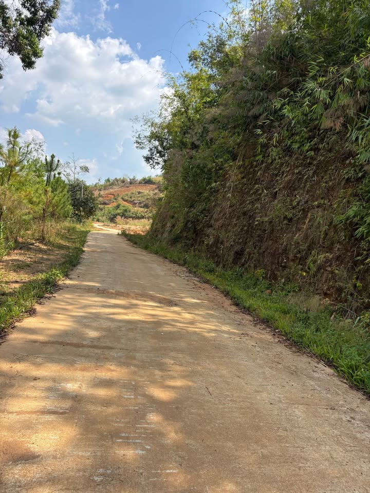 Đất thổ cư 3500m² mặt đường bê tông tại Gia Nghĩa, Đắk Nông - Sẵn sổ hồng