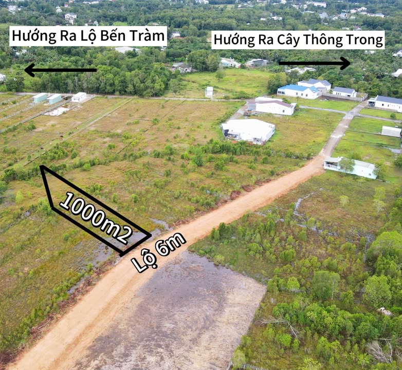Đất Vườn Phú Quốc 1000m² - Phường Cây Thông Trong, Giá Tốt Đầu Tư