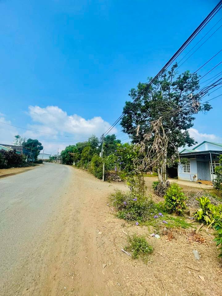 Đất nền Hàm Nghi Quy Nhơn 175m² - Sổ đỏ chính chủ