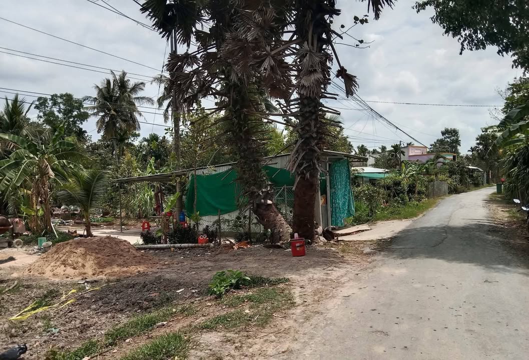 Đất Vĩnh Long 205m² - Mặt tiền Đường Huyện 44, Tam Bình - Giá 3.6 Tỷ TL