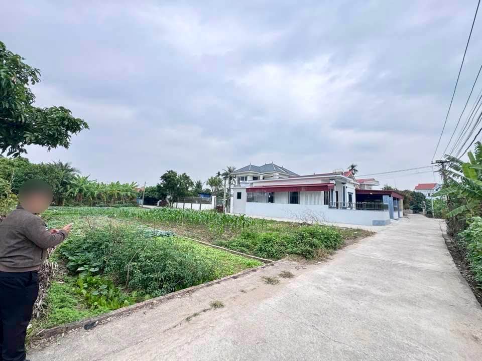 Đất nền Thanh Cường, Hải Dương 106m² - Sổ đỏ chính chủ, đường ô tô!
