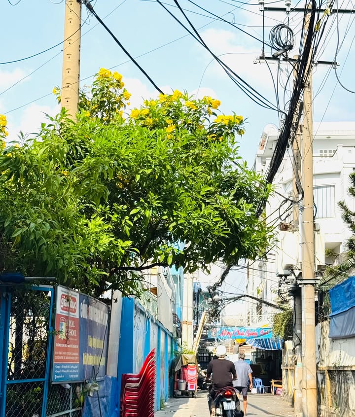 Nhà Riêng Quận 4 113m² - Chính Chủ Bán, Nở Hậu Đẹp!