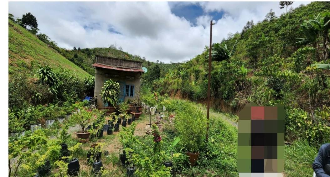 Bán Gấp Đất Vườn 2.601m² Mặt Đường Tân Lạc, Bảo Lâm - Có Sầu Riêng, Suối, Ao