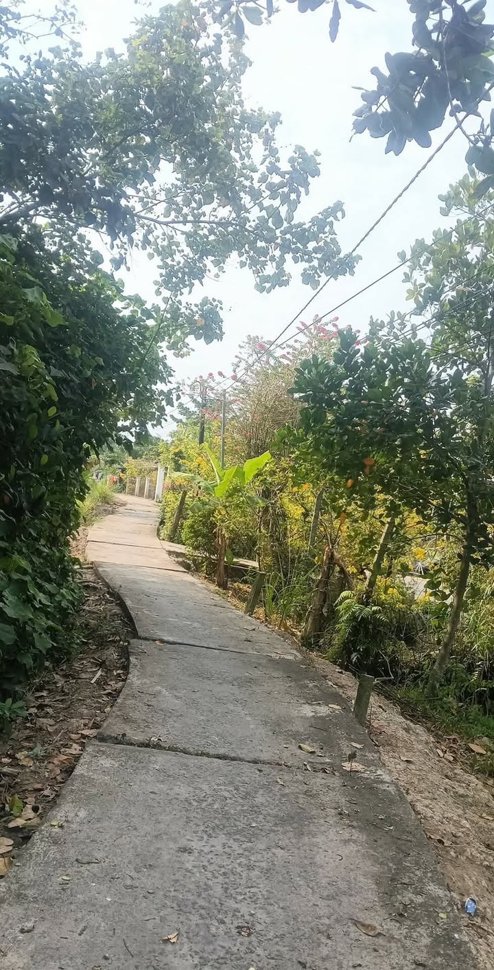 Đất nền Ngãi Tứ Tam Bình 611m² - Sổ đỏ chính chủ, nở hậu đẹp!