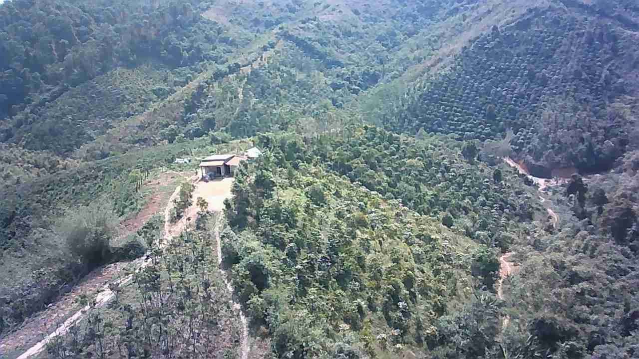 Đất Vườn 2ha Thôn 2 Đắk Ha Đắk Nông - Giá Đầu Tư Tốt 1.2 Tỷ!