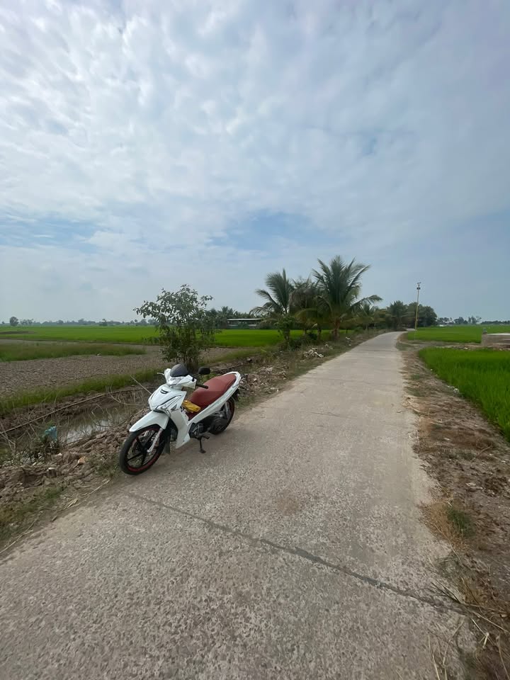 Bán Đất Vườn An Giang 2000m² Mặt Tiền Đường - Đầu Tư Sinh Lời Cao