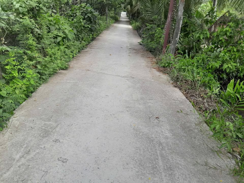 Đất nền 100m² Xã Phú Thuận, Bình Đại - Đường to ô tô, 350 triệu