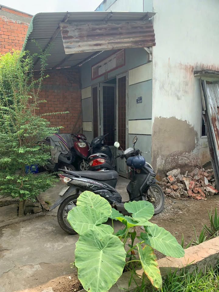 Bán Gấp Đất 67m² Xã Châu Hòa, Giồng Trôm - Sổ Hồng Chính Chủ