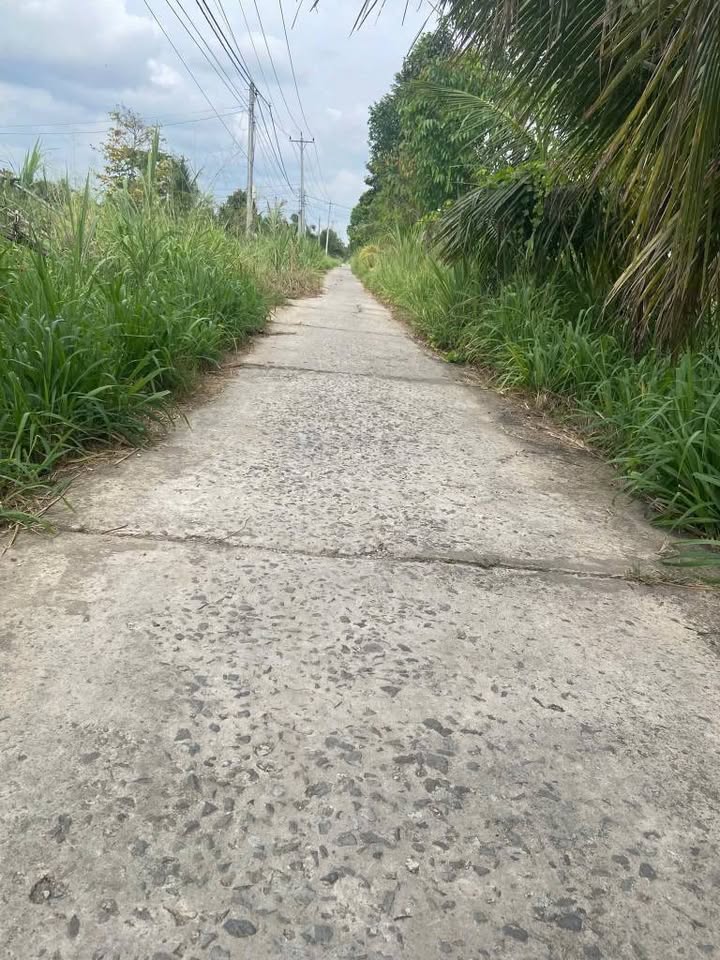 Bán Đất Vĩnh Long 2100m² Mặt Tiền Đường - Thích Hợp Xây Trọ, Đầu Tư