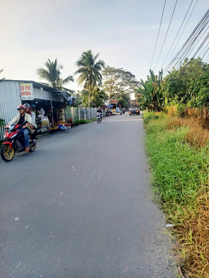 Bán Đất Mặt Tiền Lộ Ngang An Phước, Châu Thành - 146m² Thổ Cư, Sẵn Sàng Xây Dựng