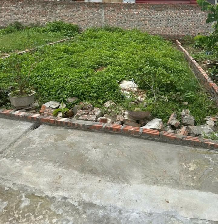 Đất nền Dương Quang, Gia Lâm 50m² - Đường to ô tô, chỉ từ 3 tỷ