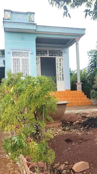 Nhà Phước Bình, Phước Long 360m² - Giá tốt hiếm có!