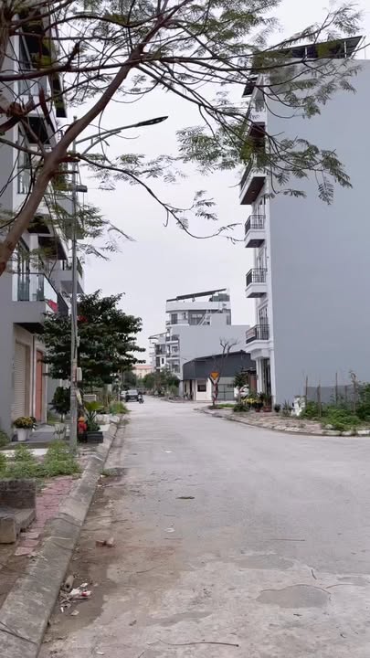 Đất Vàng Hải An 40m² - Tặng Nhà Cấp 4, Gần Nút Giao 24m & 25m