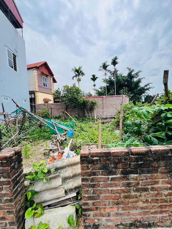 Đất nền 43m² Đa Tốn, Gia Lâm 3.2 tỷ - Sổ đỏ chính chủ, ngay Vinhomes