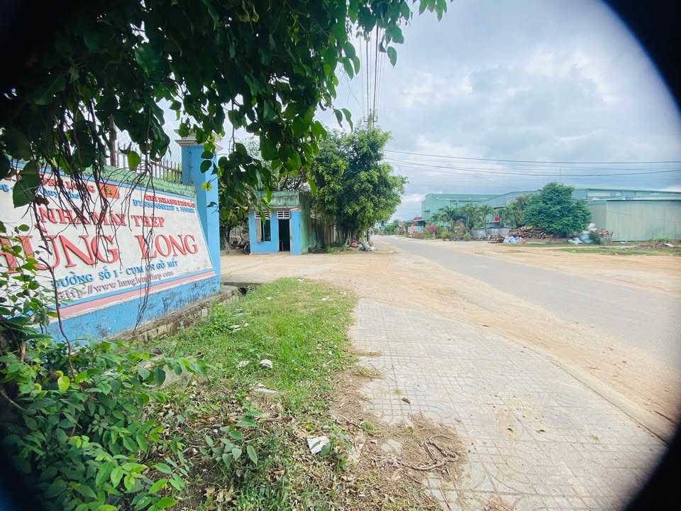 Đất nền An Hòa, Phù Cát 114m² - Sổ đỏ sẵn sàng, tiềm năng sinh lời cao