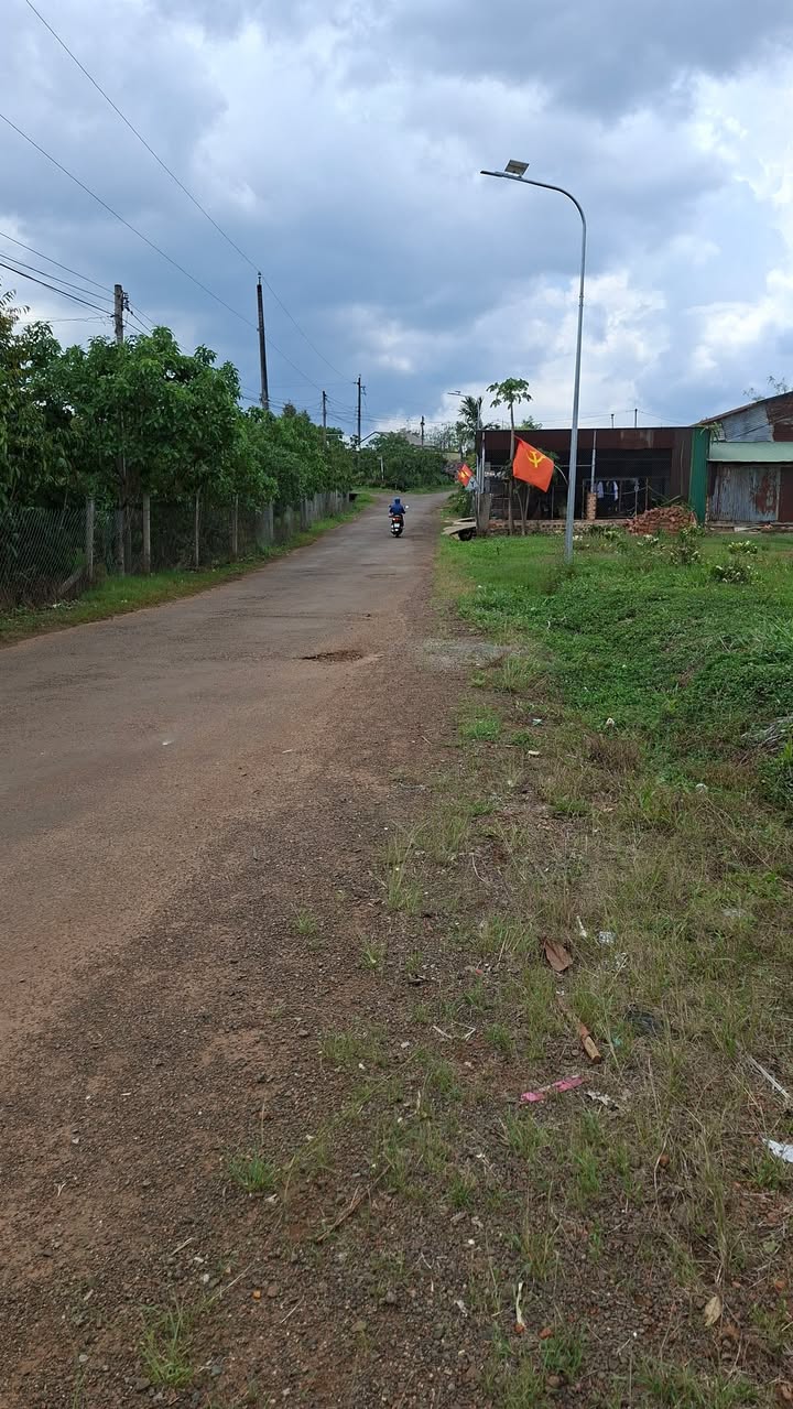 Bán gấp 30.000m² đất mặt tiền đường nhựa Lộc Phú, Bảo Lâm - Giá 13 tỷ