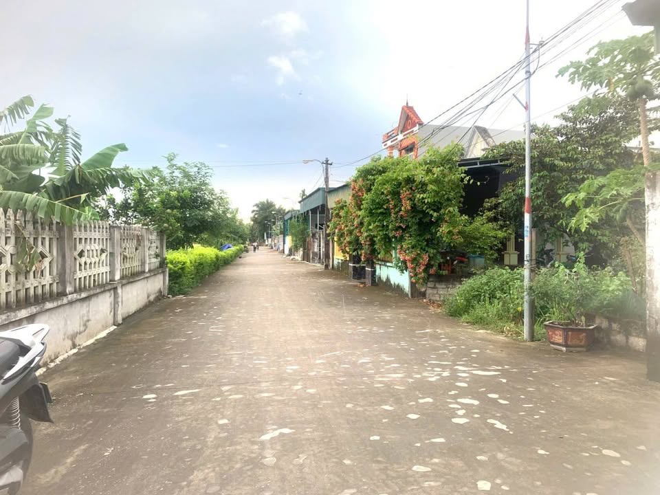 Đất Thổ Cư Triệu Sơn - 186m² - Mặt Tiền 5m - Gần KCN Thăng Long