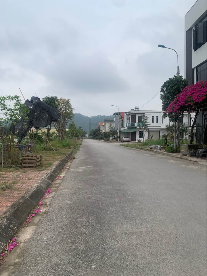 Bán Đất Đông Lĩnh, Thanh Hóa 100m² - Gần BV Phúc Thịnh, Vành Đai Tây