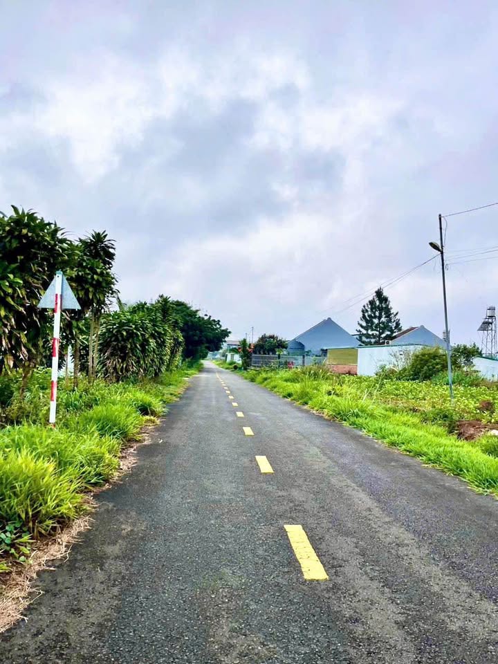 Nhà Mặt Tiền Hẻm 75 Trần Tế Xương, Bảo Lộc - 90m² Thổ Cư, Giá 1.12 Tỷ