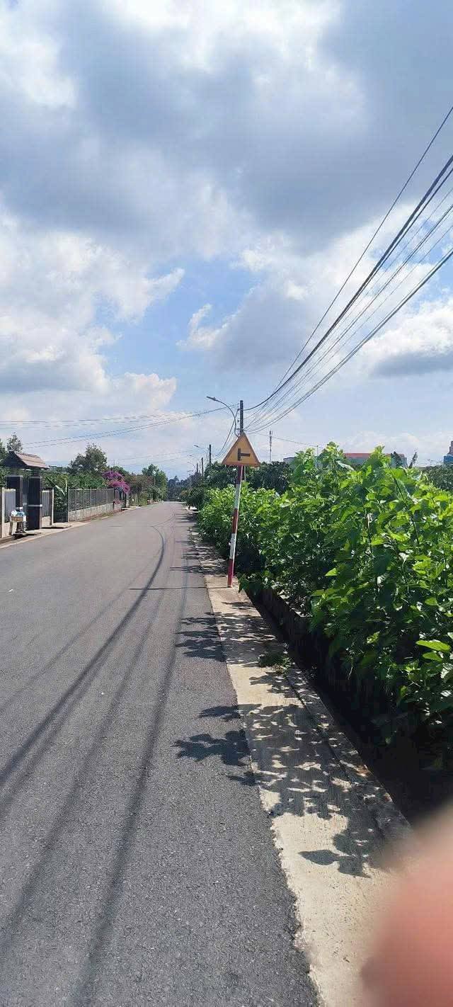 Bán Đất Mặt Tiền Lữ Gia, Bảo Lộc - 645m² Vườn Sầu Riêng, Sổ Sẵn