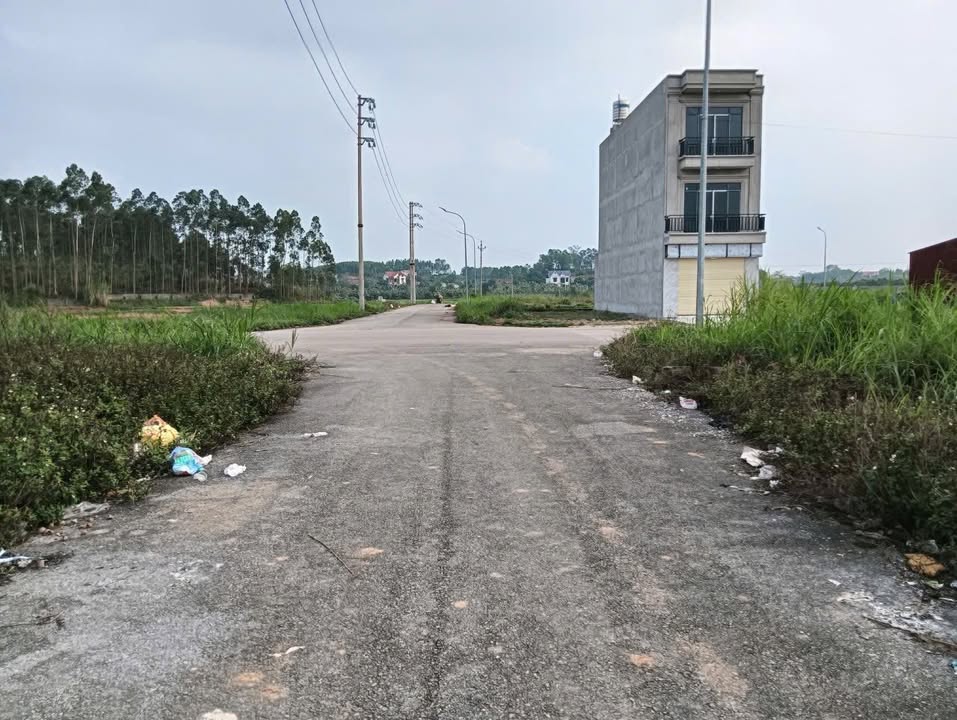 Đất nền Lạng Giang 121.5m² giá 1.5 tỷ - Tiềm năng tăng giá