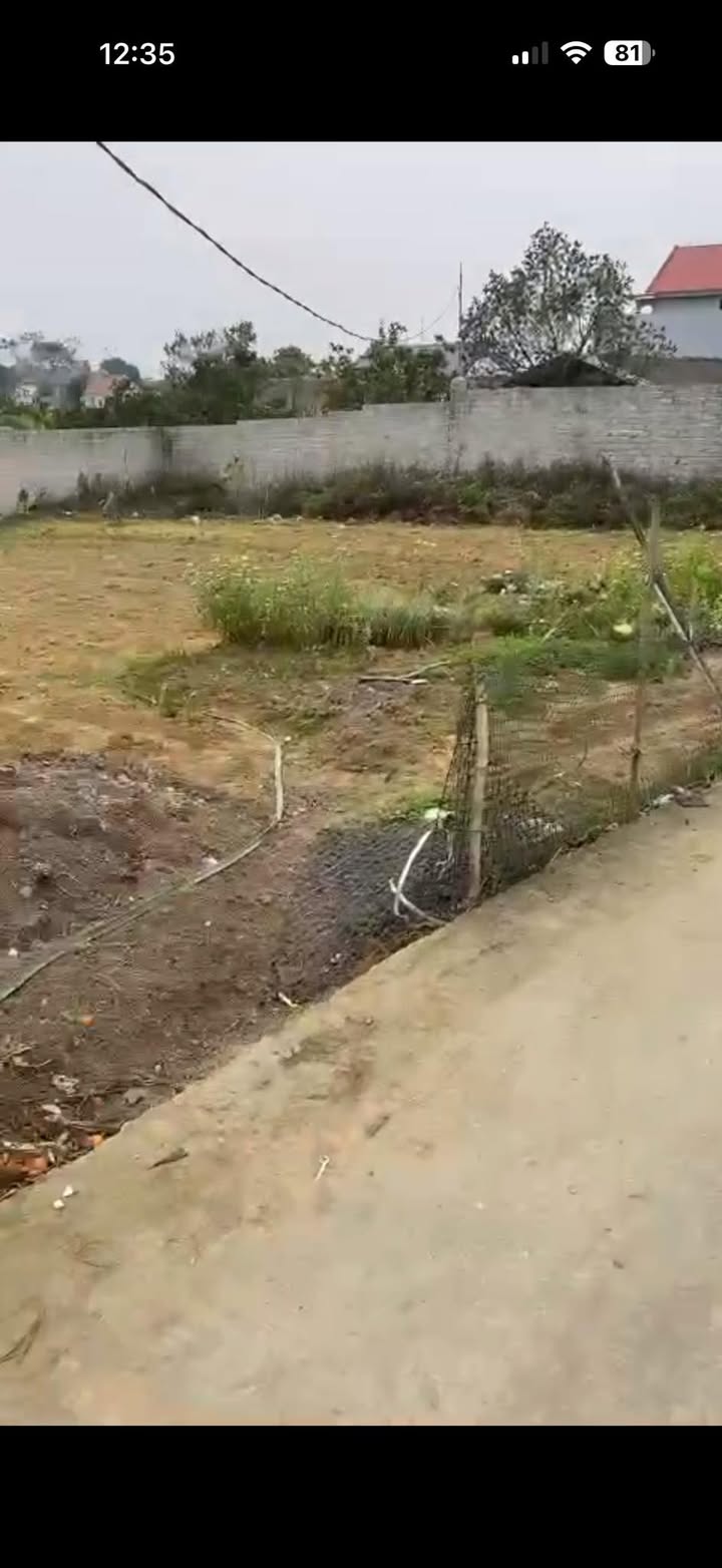 Đất nền Thôn Chớp, Hiệp Hòa 170m² - Tiềm năng tăng giá vượt trội!